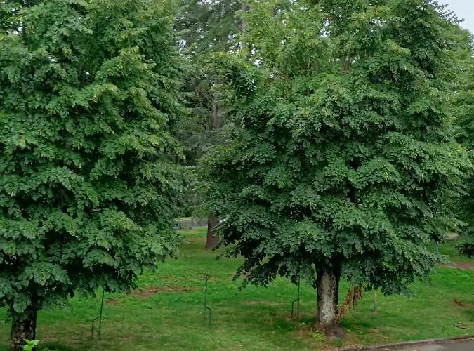 Santabarbara 梅里托